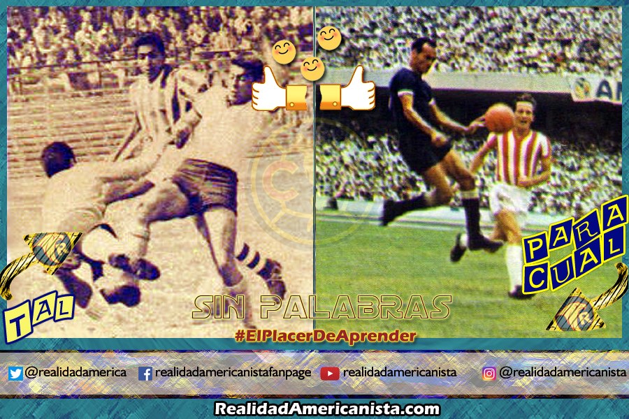 004 TAL PARA CUAL curro buenia jose alves zague campeones