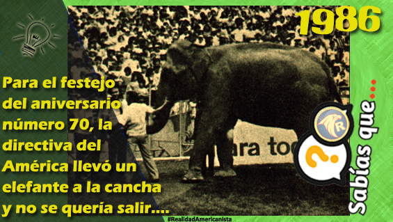 075 redes realidad americanista club america elefante aniversario 86 87